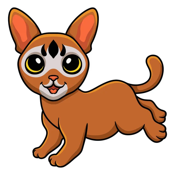 Wektor Ilustracja Cute Abyssinian Kot Kreskówka Walking — Wektor stockowy
