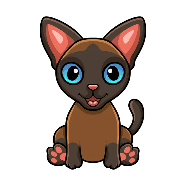 Vector Ilustración Lindo Tonkinese Gato Dibujos Animados Sentado — Vector de stock