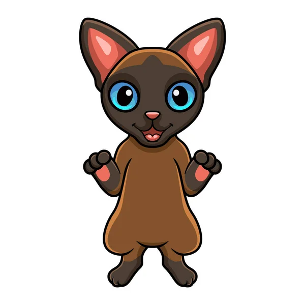 Vector Illustration Cute Tonkinese Cat Cartoon Standing — Stock Vector