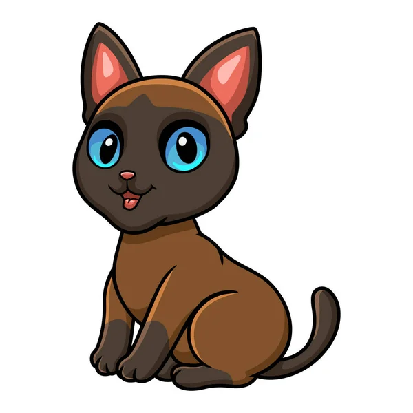 Wektor Ilustracja Cute Tonkinese Kot Kreskówka Siedzi — Wektor stockowy