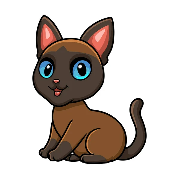 Διάνυσμα Εικονογράφηση Του Χαριτωμένο Tonkinese Γάτα Καρτούν Συνεδρίαση — Διανυσματικό Αρχείο