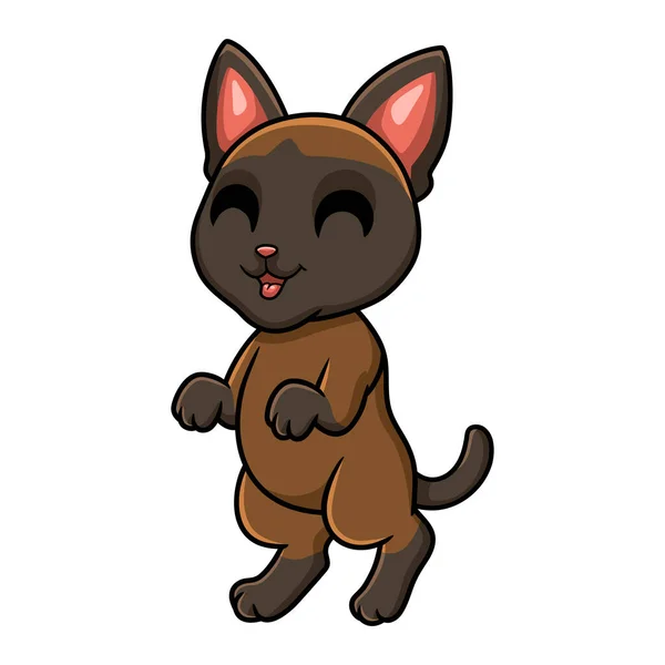 Vector Ilustración Lindo Tonkinese Gato Dibujos Animados Pie — Vector de stock