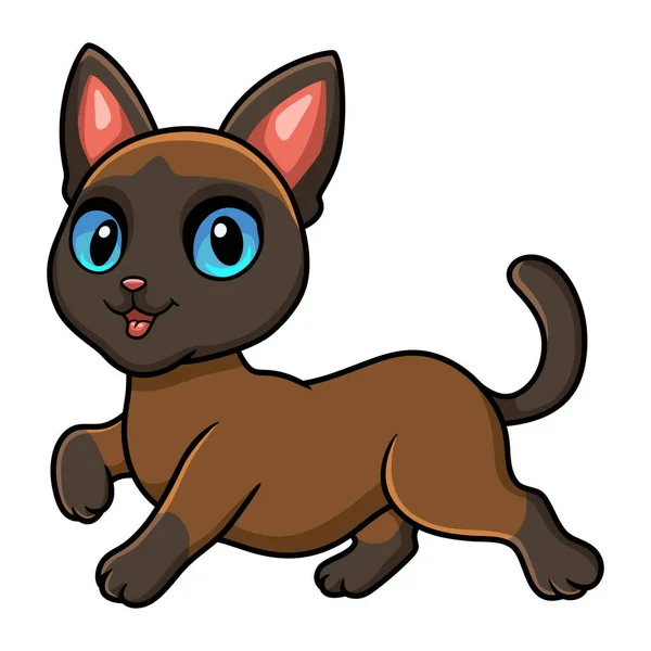 Vector Illustration Cute Tonkinese Cat Cartoon Walking — Stock Vector
