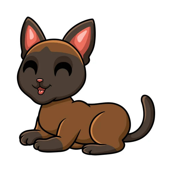 Ilustração Vetorial Desenho Animado Bonito Gato Tonkinese Sentado — Vetor de Stock