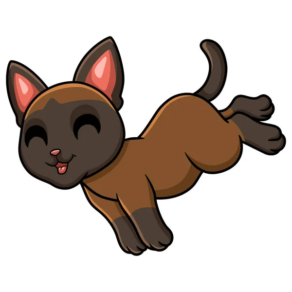 Διάνυσμα Εικονογράφηση Του Χαριτωμένο Tonkinese Γάτα Άλματα — Διανυσματικό Αρχείο