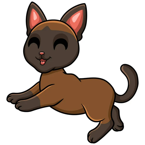 Διάνυσμα Εικονογράφηση Του Χαριτωμένα Tonkinese Γάτα Πόδια — Διανυσματικό Αρχείο