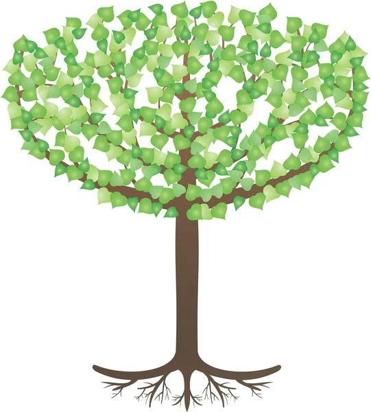 Illustration av ett träd — Stock vektor