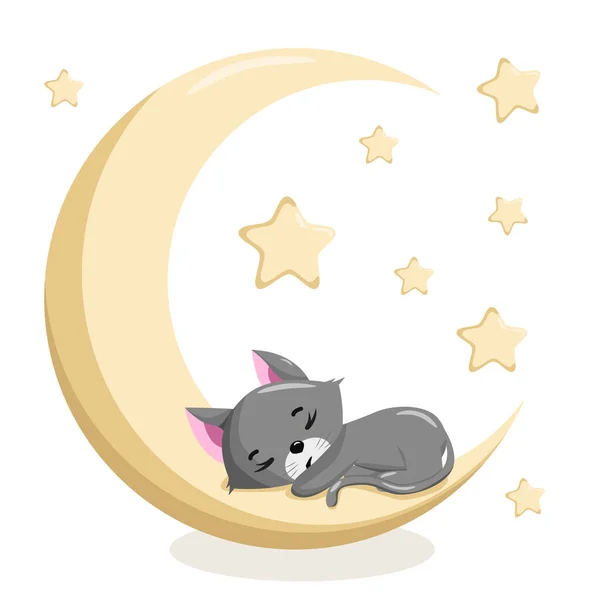 Cute Sleeping Kitten Cats Baby Funny Kitty Vector Illustrationn — Vetor de Stock