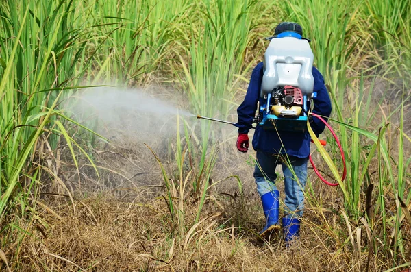 Agricoltura — Foto Stock