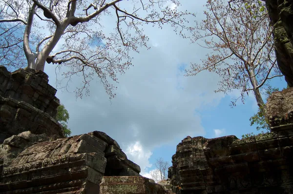 Raíces Árboles Ruinas Antiguas Edificio Antiguo Prasat Prohm Ancestro Brahma —  Fotos de Stock