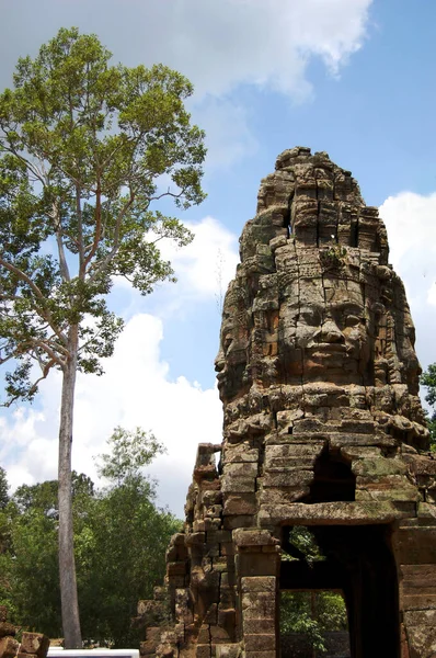 Ağaç Kökleri Antik Kalıntılar Prasat Prohm Veya Angkor Wat Antik — Stok fotoğraf