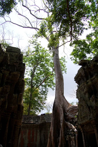 柬埔寨吴哥窟 Angkor Wat 的Prasat Prohm或Ancestor Brahma古建筑 游客前往柬埔寨暹粒吴哥窟拜祭 — 图库照片