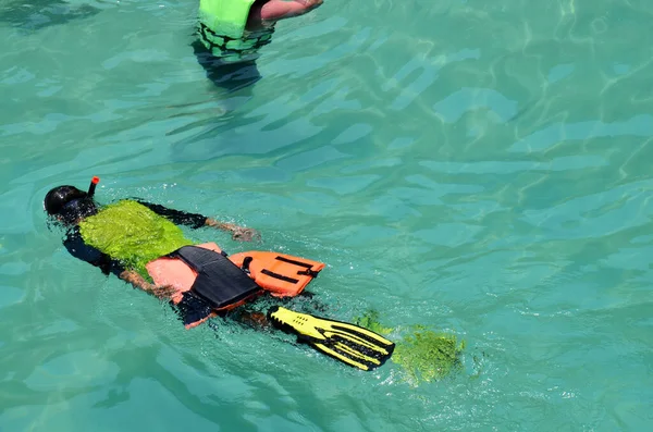 Тайцы Иностранные Путешественники Посещают Плавание Подводное Плавание Маской Трубкой Видят — стоковое фото