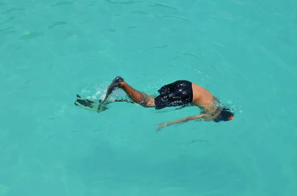 Таїландці Іноземні Мандрівники Подорожують Відвідуючи Плавання Підводне Плавання Дихальною Трубкою — стокове фото