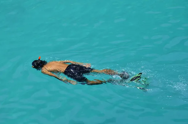 Les Thaïlandais Les Voyageurs Étrangers Visitent Natation Plongée Avec Tuba — Photo