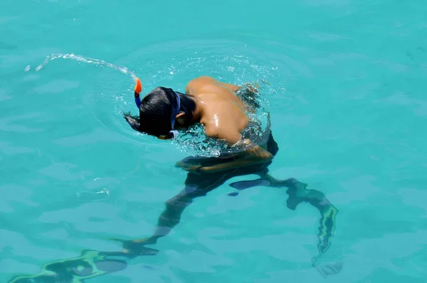 Les Thaïlandais Les Voyageurs Étrangers Visitent Natation Plongée Avec Tuba — Photo