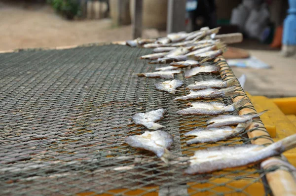 Lokalt Liv Livsstil Thai Människor Torkade Sol Fisk Skaldjur För — Stockfoto