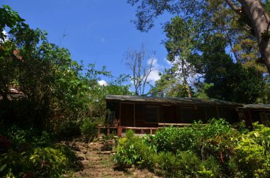 Tayland 'ın Tak kentindeki Umphang şehrindeki Umphang Vahşi Yaşam Ormanı' ndaki tatil köyü klasik antika otel binası. Taylandlılar ve yabancı gezginler için Mabet. Konuk ziyaretleri için dinlenme yeri.