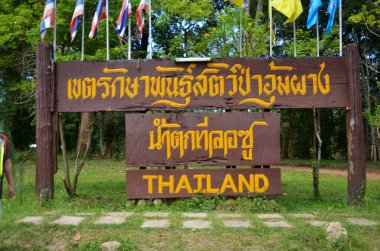 Namtok Thi Lo Su Şelalesi 'nin girişi Umphang Vahşi Yaşam Ormanı' nda Tayland 'ın Tak kentinde 21 Ocak 2011 tarihinde Umphang şehrini ziyaret eden yabancılar ve insanlar için bir sığınak.