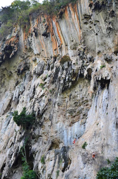 Alpinista Tailandês Viajantes Estrangeiros Montanhistas Esporte Escalada Dragon Crest Precipice — Fotografia de Stock