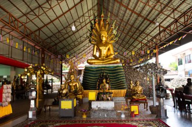 Taylandlılar için Buda tanrısı melek heykeli. Yabancı gezginler Wat Chedi Hoi 'ye ya da 26 Ekim 2021' de Tayland, Pathum Thani 'de Lum Kaew' daki fosilleşmiş kabuk tapınağına saygılarını sunarak seyahat ederler.