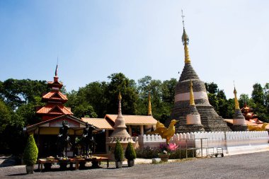 Wat Chedi Hoi ya da dev fosilleşmiş istiridye kabukları Tayland 'ın Pathum Thani şehrindeki Lad Lum Kaew şehrinde dua ederek seyahat edenler ve Taylandlılar için milyonlarca yıllık tapınak.