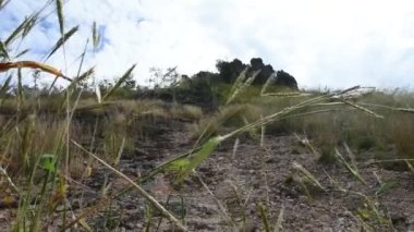 Tayland 'daki Nakhon Nayok, Tayland' daki Sarika şehrinde orman manzaralı yürüyüş yaparken, Tayland 'daki Khao Lon Dağları' ndaki manzaraya bakın.