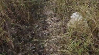 Tayland 'daki Nakhon Nayok, Tayland' daki Sarika şehrinde orman manzaralı yürüyüş yaparken, Tayland 'daki Khao Lon Dağları' ndaki manzaraya bakın.