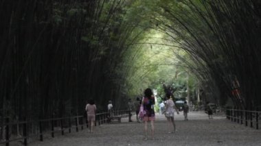 Taylandlılar ve Taylandlılar için Bambu tüneli 13 Kasım 20121 'de Nakhon Nayok, Tayland' da Wat Chulabhorn Wanaram Tapınağı 'nda dinlenme ve poz portresi.