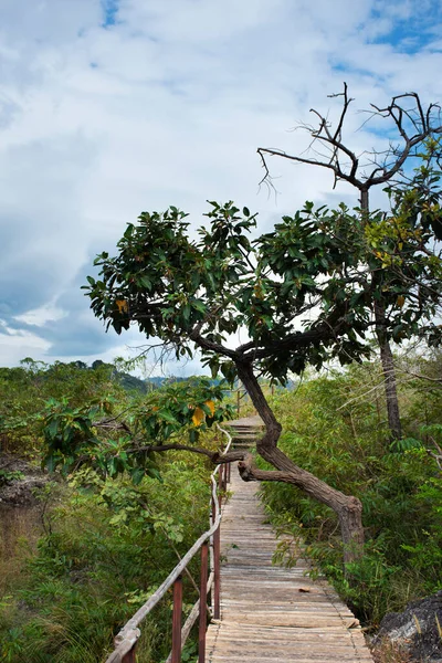 View Landscape Mountain Forest Khao Lon Adventure Thai People Foreign — Stock Photo, Image