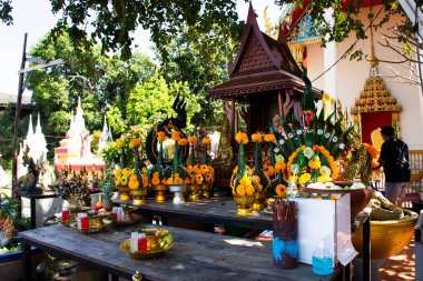 Tayland 'ın başkenti Phra Nakhon Si Ayutthaya' da bulunan Wat Song Kusol Tapınağı 'ndaki kutsal ibadetle kutsanmış kutsanmış kutsanmış kutsanmış ve ziyaret eden Taylandlılar ve Taylandlılar için gizemli naga tapınağı.