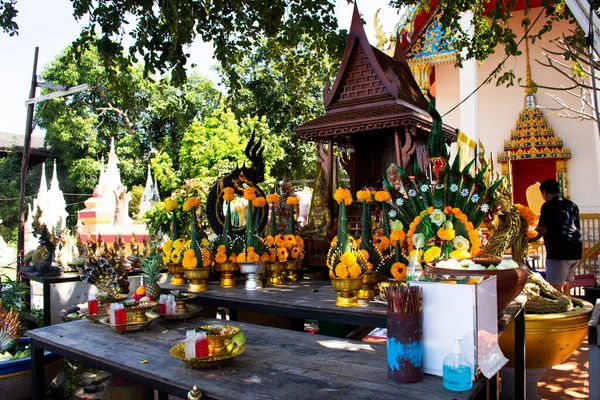 Geheimnisvoller Naga Verehrungsschrein Für Thailänder Und Ausländische Reisende Besuchen Und — Stockfoto