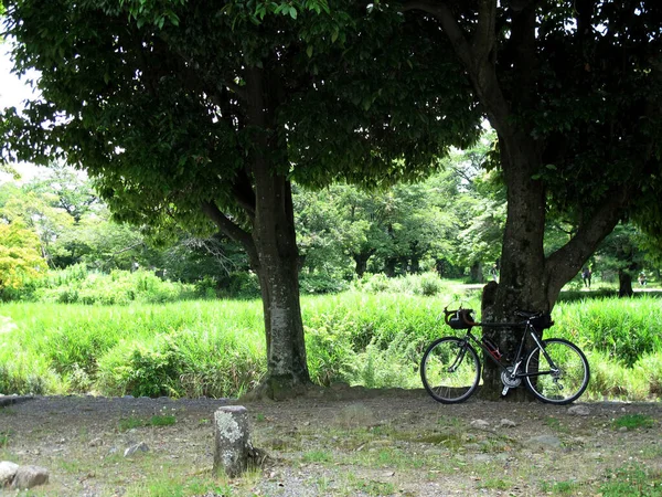 Japanners Reizen Bezoek Rijden Fietsen Weg Mountainbike Stop Park Van — Stockfoto