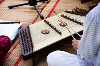 Taylandlılar için geleneksel Tayland müzik enstrümanları konseri veren canlı müzik grubu Bangkok, Tayland 'daki bahçe parkında yabancı gezginler için sokak organik çiftçi festivali fuarı düzenliyor.