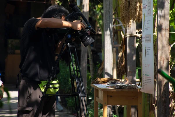 Thai Férfiak Riporter Digitális Videokamera Video Élő Közvetítés Hírek Bio — Stock Fotó