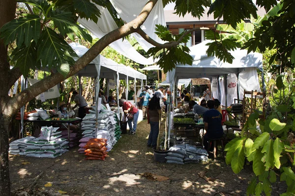 Thaise Mensen Buitenlandse Reiziger Wandelen Reis Bezoek Winkelen Voedsel Dranken — Stockfoto