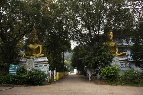 Estátua Buda Para Pessoas Tailandesas Viajantes Estrangeiros Visita Respeito Orando — Fotografia de Stock