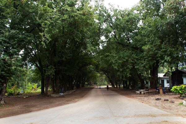 Tunnel Végétal Tamarin Grotte Arbre Pour Peuple Thaï Les Voyageurs — Photo