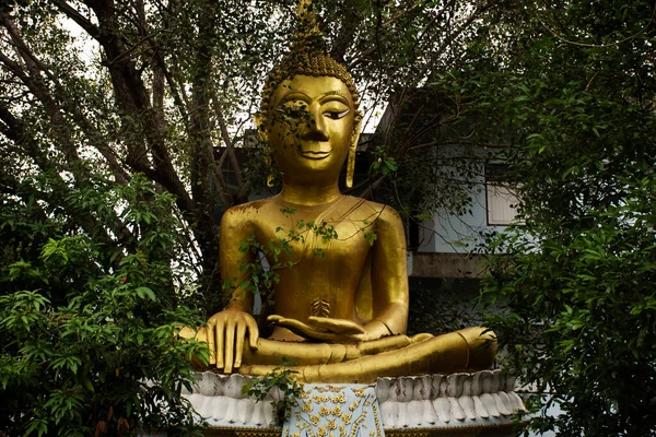 Statua Buddha Popolo Thai Viaggiatori Stranieri Visita Viaggio Rispetto Preghiera — Foto Stock