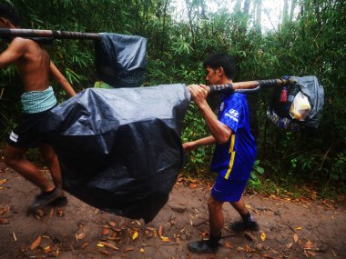 Taylandlı gezginler yağmurluk giyer ve işçi hamal 16 Şubat 2022 'de Loei, Tayland' da Phu Kradueng Ulusal Parkı 'nda yağmur yağarken seyahat ve sis için ormanda yürür.
