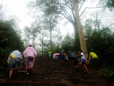 Gezgin thai insanları yağmurluk giyer ve işçi hamal yürüyüş yolu taşır ya da seyahat için dağdan dağa tırmanır ve sis bulutu yağarken Loei, Tayland 'daki Phu Kradueng Ulusal Parkı' na yağar.