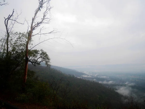 Vista Paesaggio Foresta Giungla Sulla Montagna Phu Kradueng National Park — Foto Stock