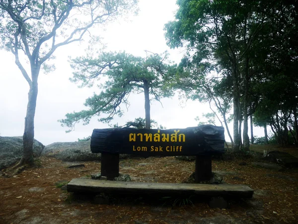 Información Tablas Madera Cima Montaña Para Los Viajeros Tailandeses Leer —  Fotos de Stock