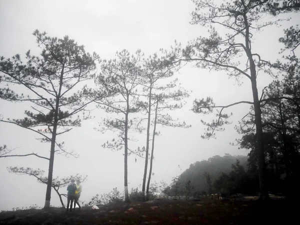 Viajeros Tailandeses Amantes Pareja Usan Impermeable Visita Viaje Selva Forestal —  Fotos de Stock