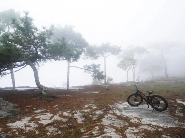 Tajlandczycy Podróżujący Rowerze Zwiedzają Staw Anodardowy Kamienny Basen Leśnej Dżungli — Zdjęcie stockowe