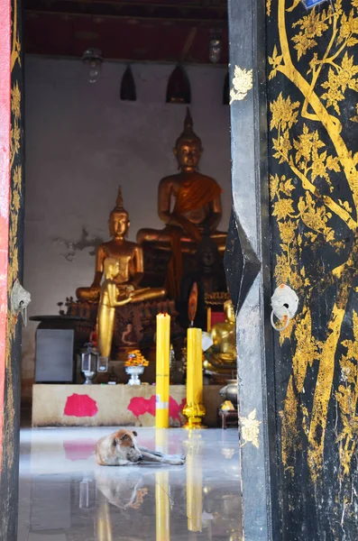 タイの人々と外国人旅行者のためのアンティーク古いUbosotの古代の仏像は タイのノンタブリにあるワット ケンやカーン仏教寺院で祈りと祝福の神聖な崇拝を尊重訪問します — ストック写真
