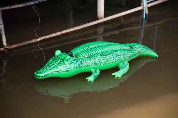Крокодилово Зеленая Резиновая Игрушка Плавающая Реке Канала Детей Htai Люди — стоковое фото
