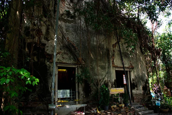 Antik Buda Heykeli Eski Harabelerde Terk Edilmiş Tayland Tapınağının Yukarısında — Stok fotoğraf