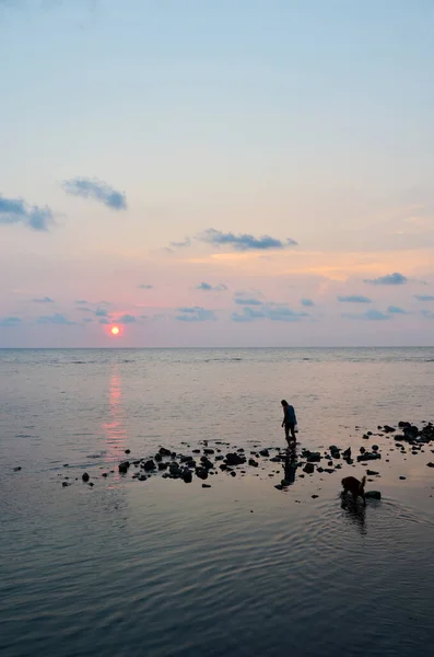 Місцеві Жінки Тай Відпочивають Від Собак Кам Яному Пляжі Грають — стокове фото