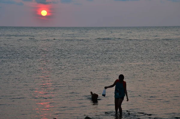 Local Thai Women People Leash Dog Walking Relax Stone Rock — Fotografia de Stock